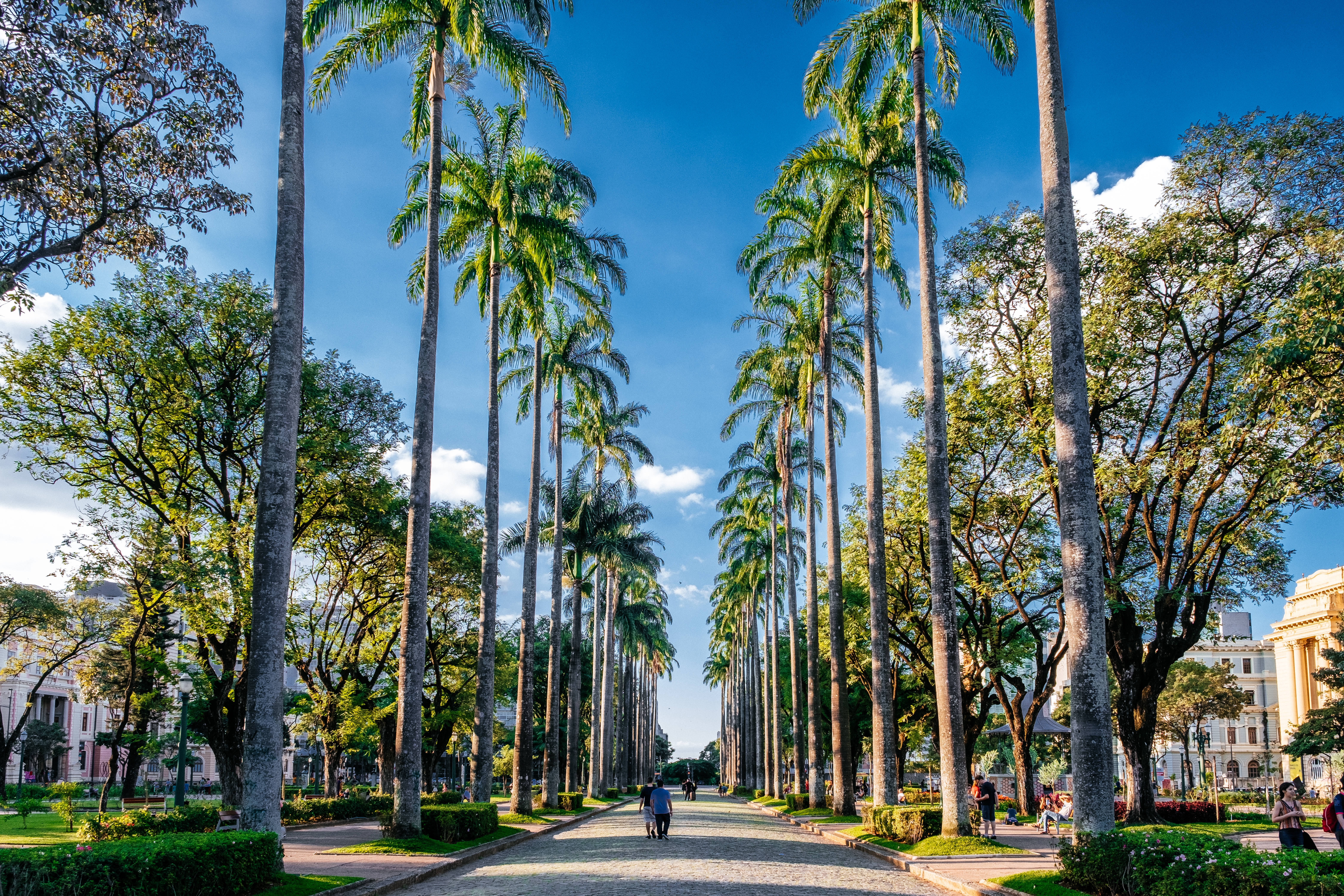 Moradores lutam pelas últimas áreas verdes de BH, que já foi conhecida como cidade jardim